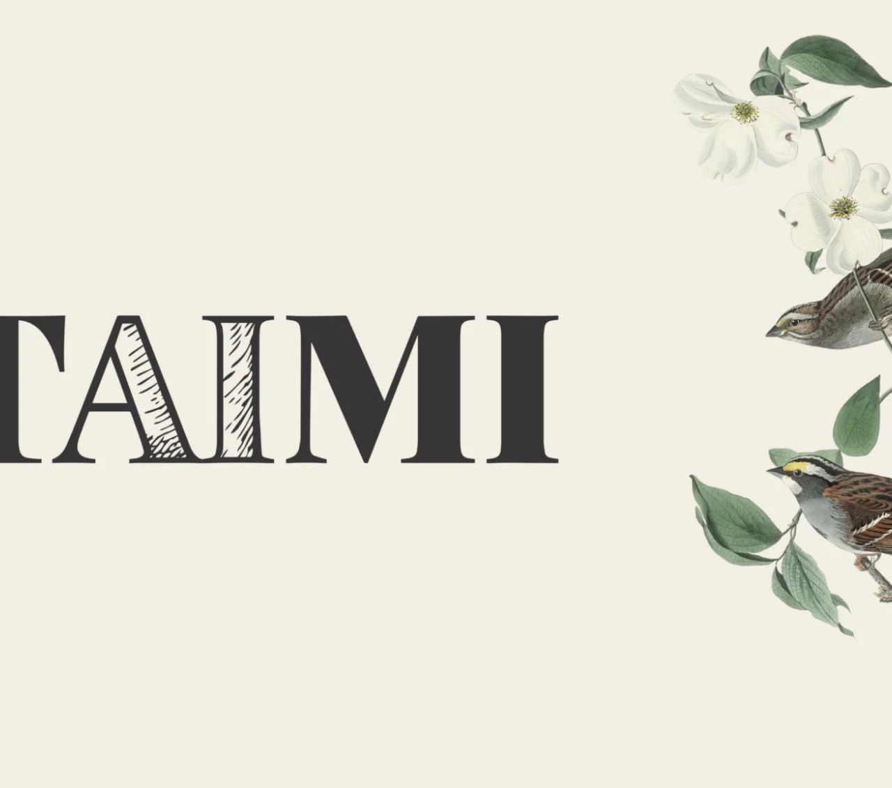 taimi