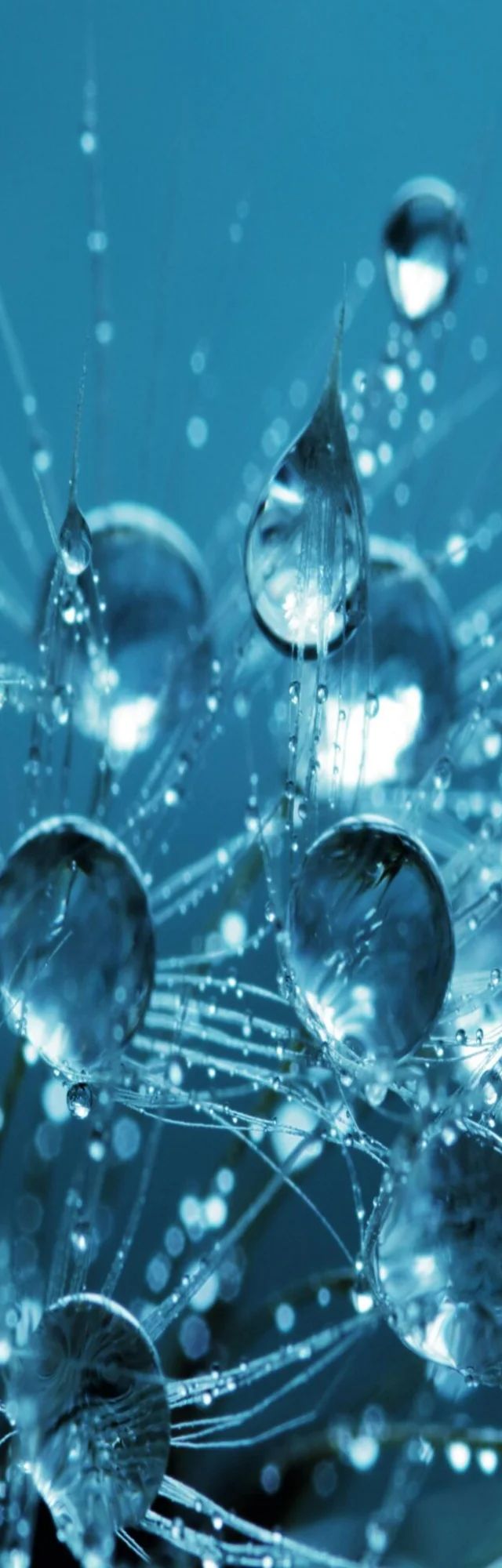 Strengthening Cybersecurity at Enerim: A Collaborative Approach