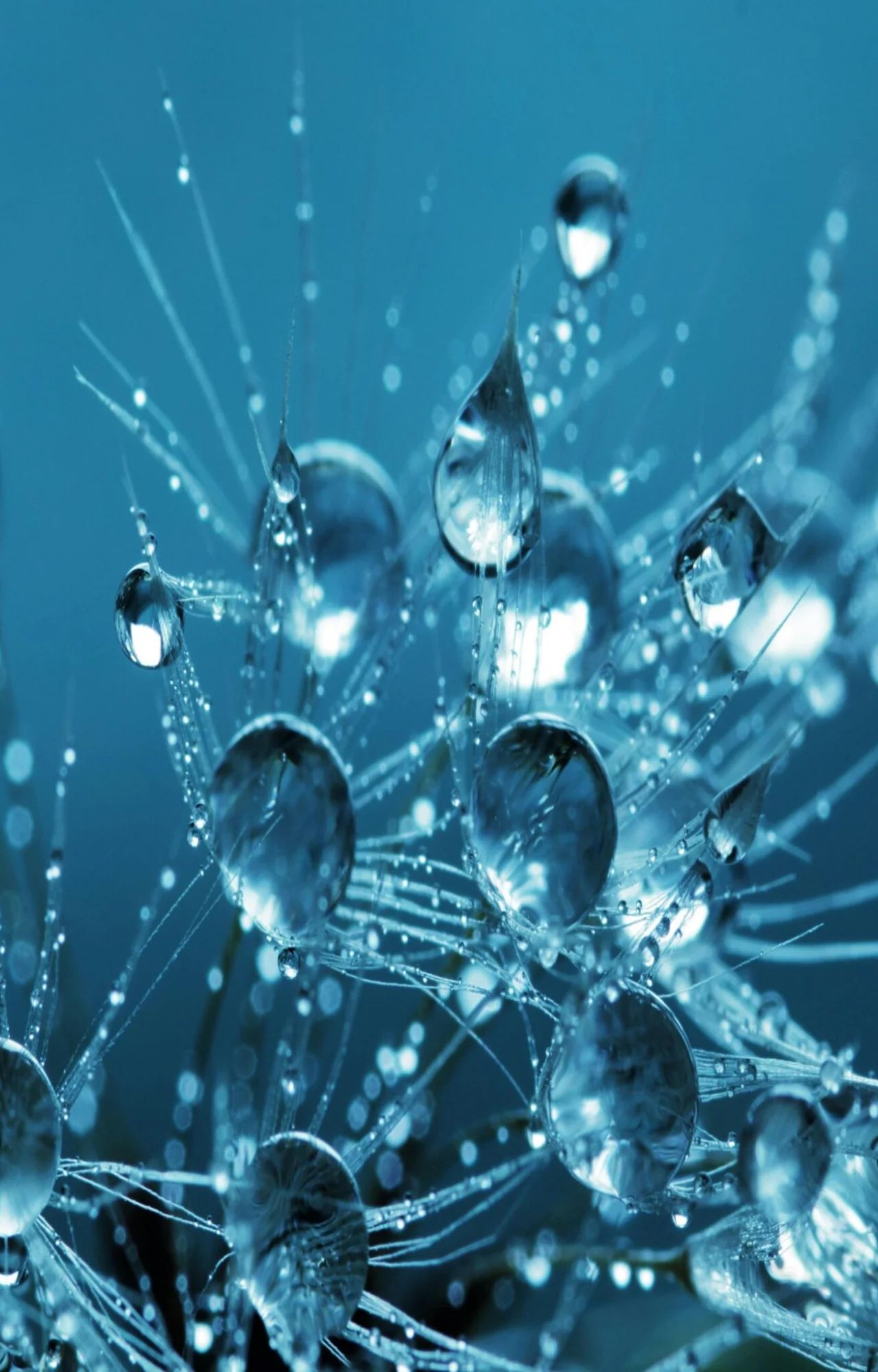 Strengthening Cybersecurity at Enerim: A Collaborative Approach